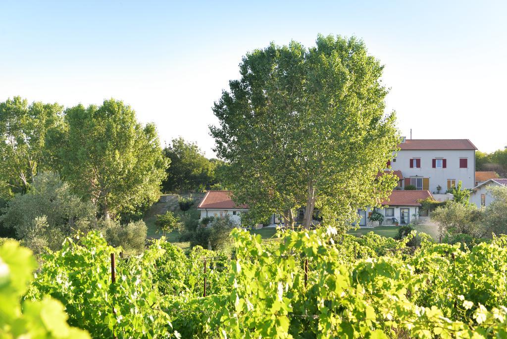 Agriturismo Arte Et Agricoltura Tuscania Eksteriør bilde