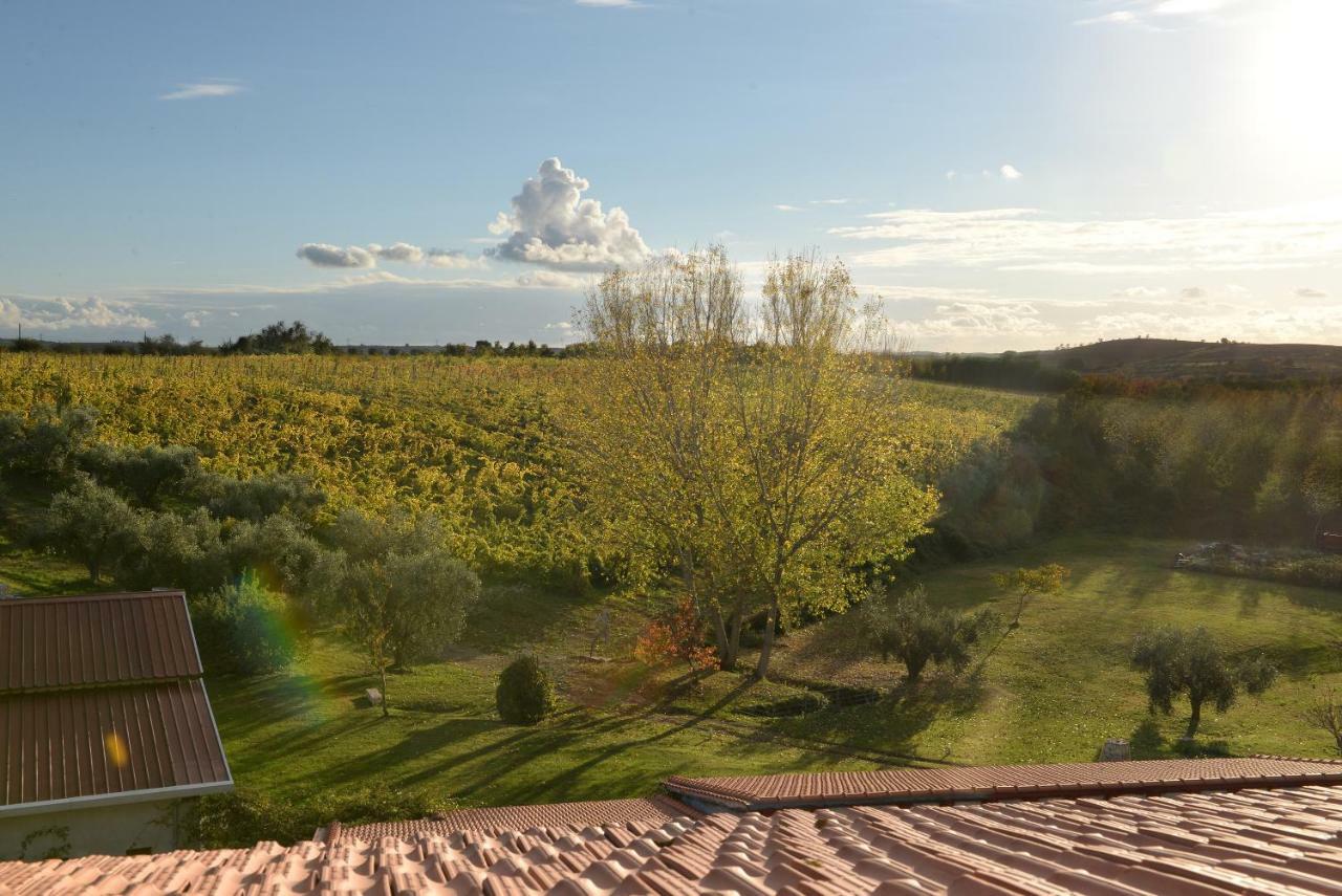 Agriturismo Arte Et Agricoltura Tuscania Eksteriør bilde